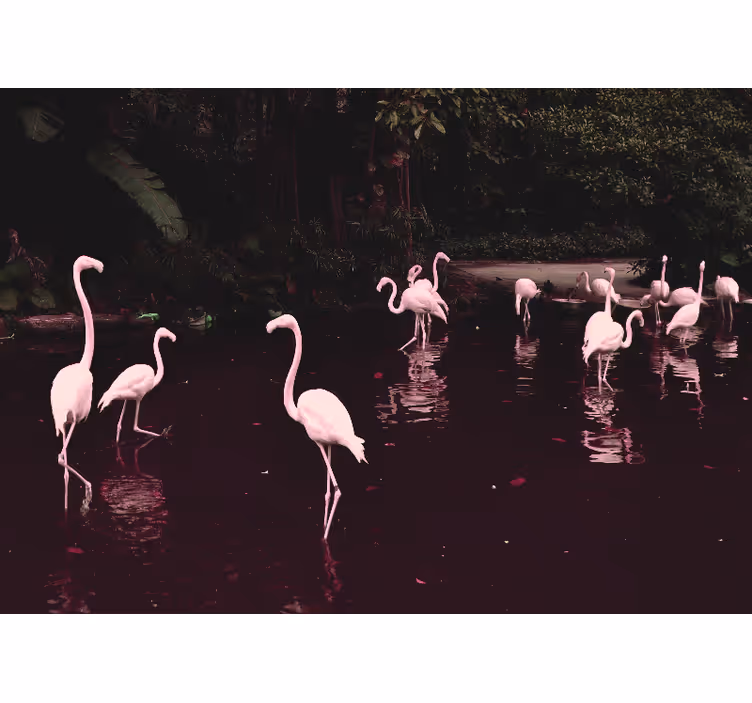 Fotobehang werkkamer elegante flamingo's samenkomen - TenStickers