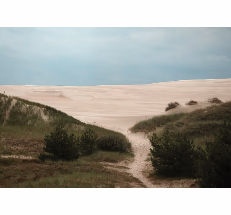 Fotobehang landschap zandduinenpad - TenStickers