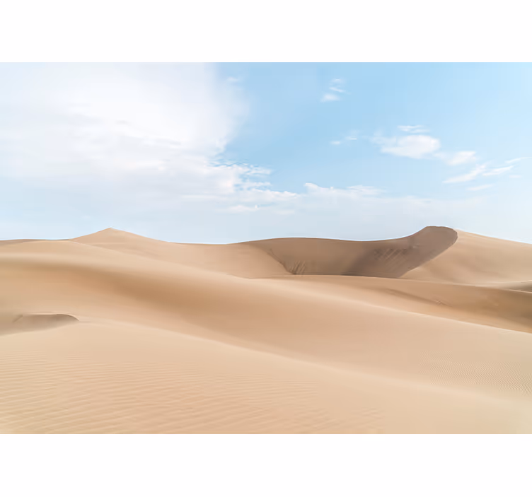 Fotobehang woestijn serene zandduinen - TenStickers
