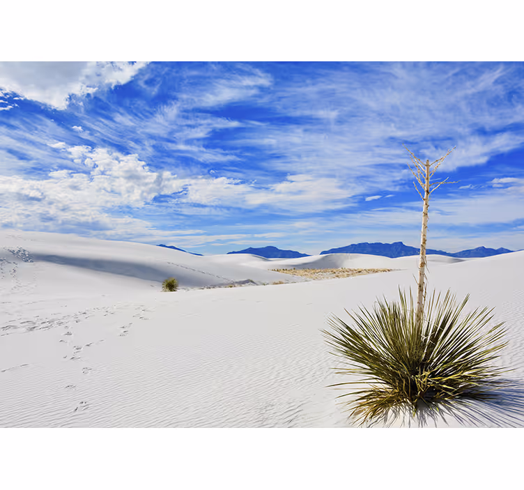 Fotobehang landschap woestijnlandschap - TenStickers