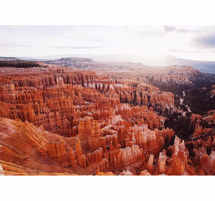 Fotobehang landschap bryce canyon uitzicht - TenStickers