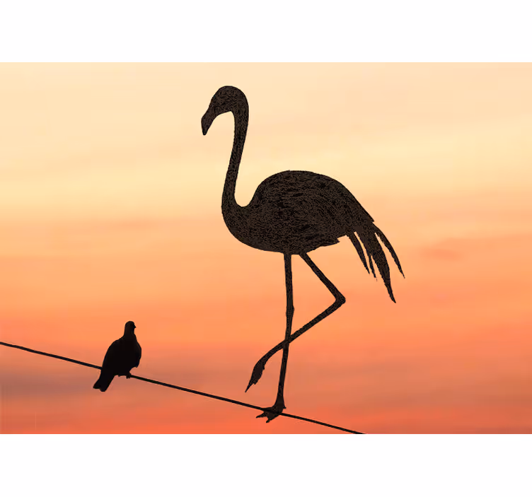 Sierlijke flamingo zonsondergang fotobehang dieren - TenStickers