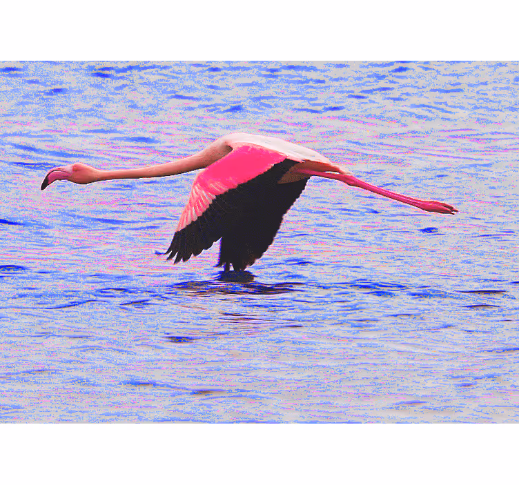 Flamingo in vlucht foto behang diverse dieren - TenStickers