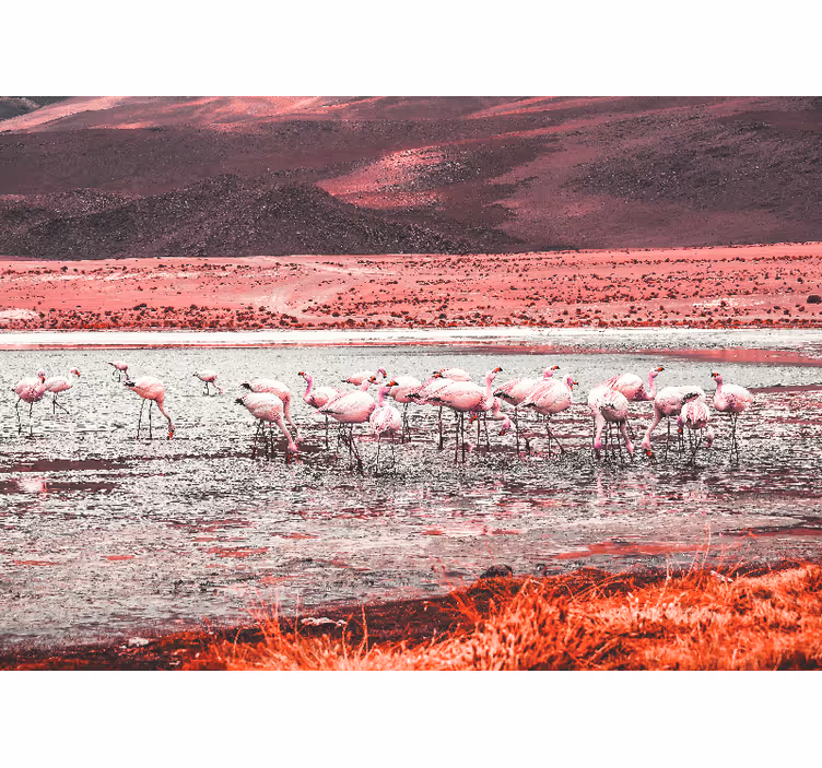 Foto behang diverse dieren flamingo leefgebiedscène - TenStickers