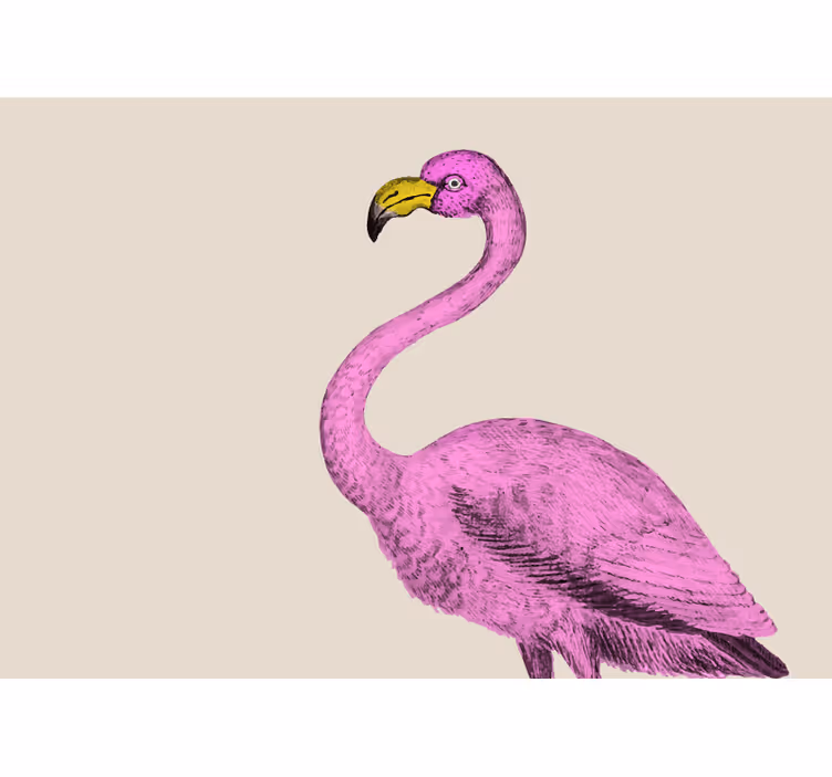 Fotobehang dieren elegantie van de roze flamingo - TenStickers