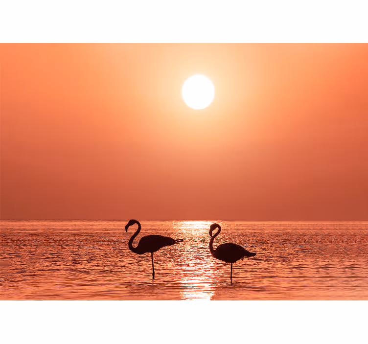 Fotobehang dieren flamingo zonsondergang scene - TenStickers
