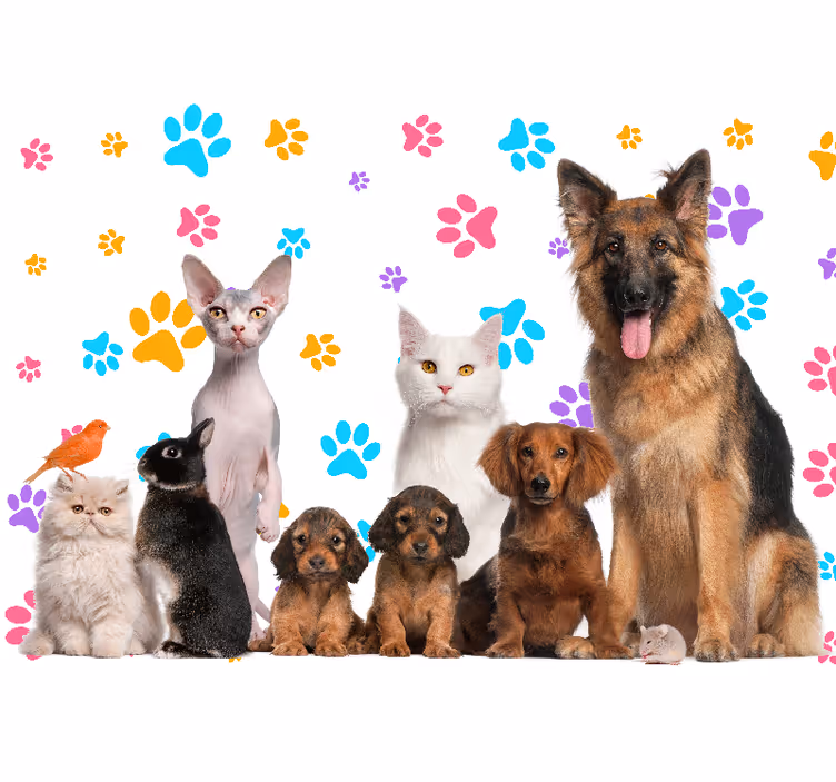 Fotobehang dieren gelukkige huisdieren companions - TenStickers