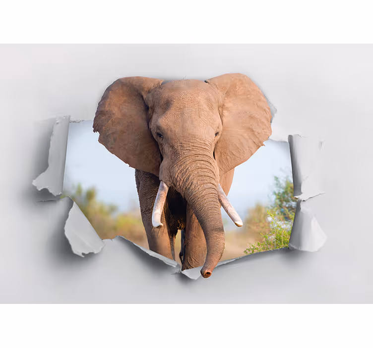 Fotobehang dieren majestueus olifantenportret - TenStickers