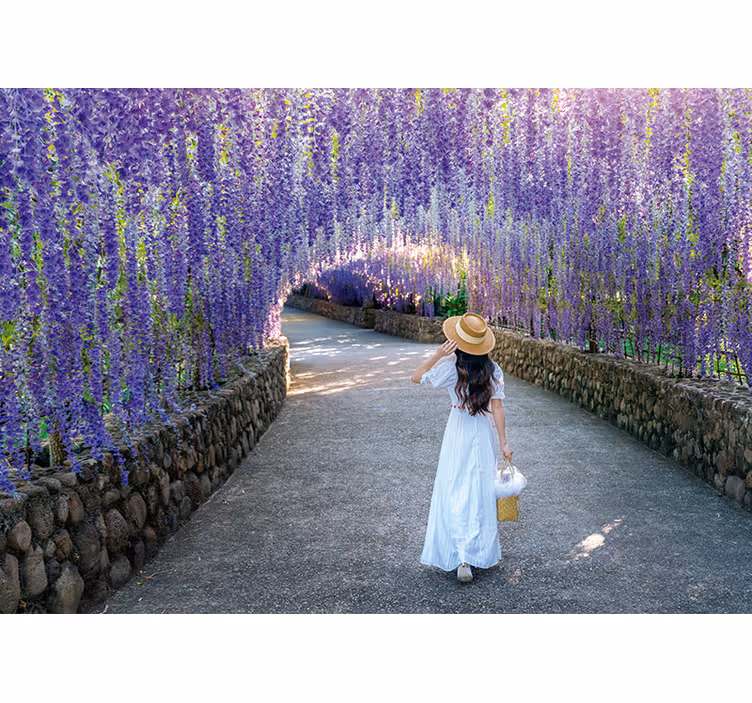Fotobehang bloemen wisteria bloesem pad - TenStickers