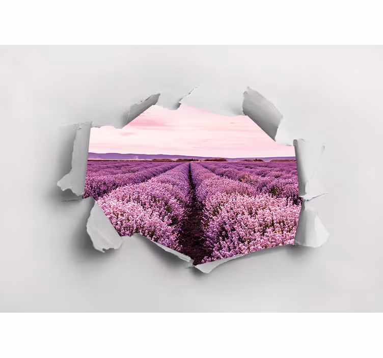 Fotobehang bloemen lavendelveld uitzicht - TenStickers