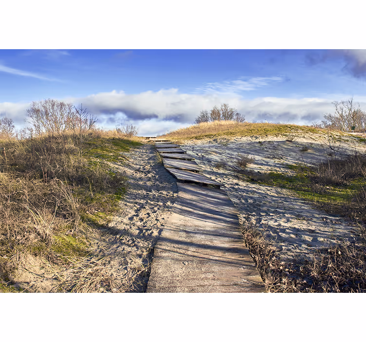Fotobehang landschap houten pad landschap - TenStickers