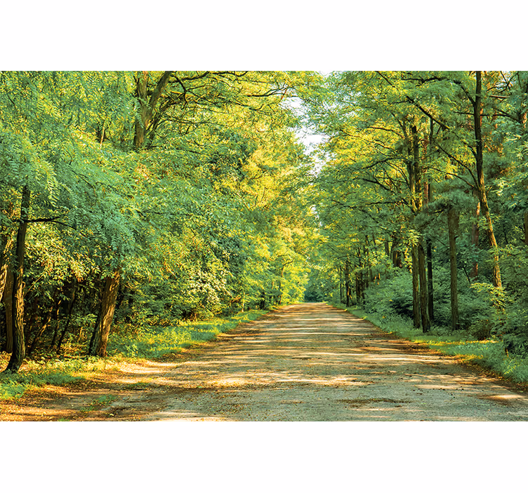 Foto behang natuur weelderig groen pad - TenStickers