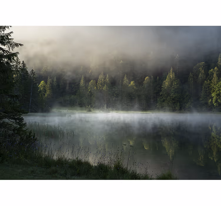 Foto behang natuur serene mistige meer - TenStickers