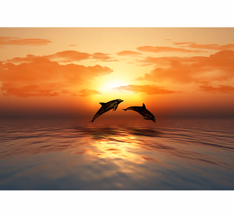 Dolfijnen springen zonsondergang fotobehang dieren - TenStickers