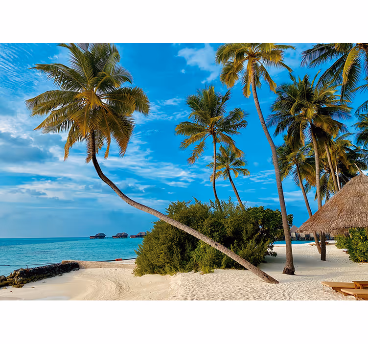 Foto behang natuur tropisch palm landschap - TenStickers