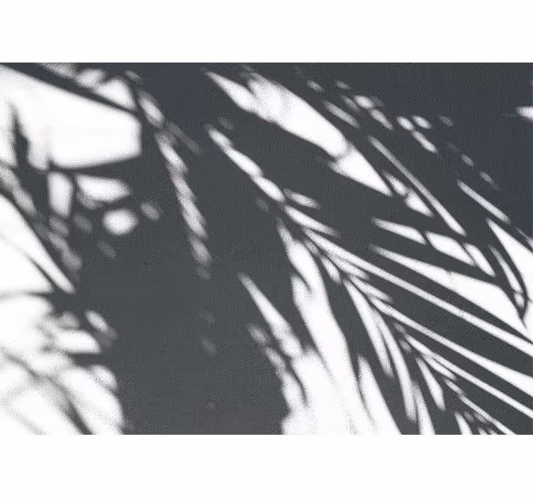 Foto behang natuur schaduwachtige palm patronen - TenStickers