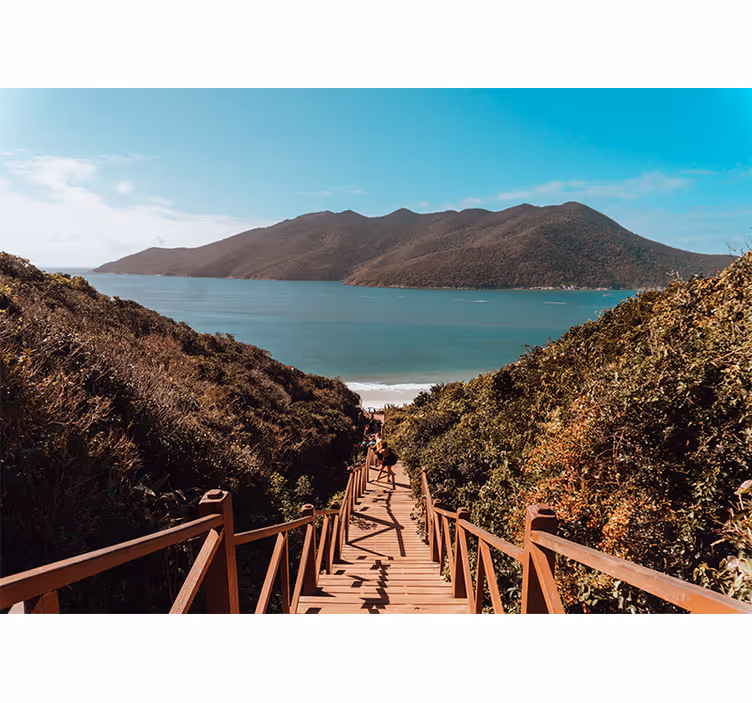 Fotobehang landschap serene oceaanpad - TenStickers