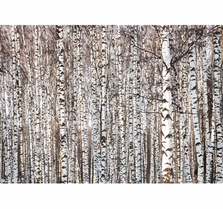 Bomen fotobehang berkenbomen bos - TenStickers