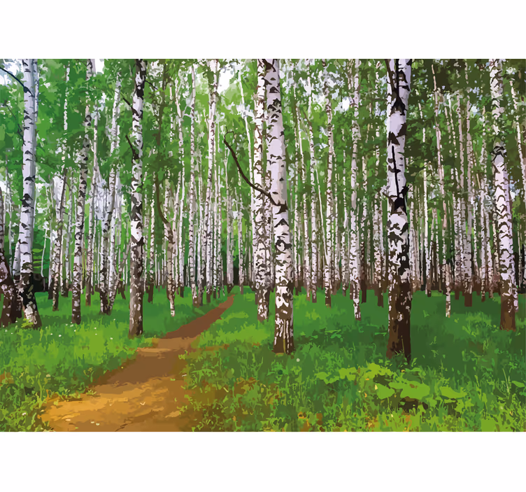 Foto behang natuur berkendreef - TenStickers