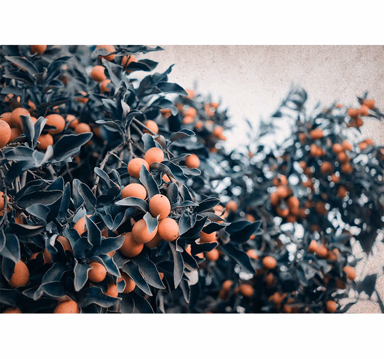 Fotobehang bloemen citrusvruchten tak - TenStickers