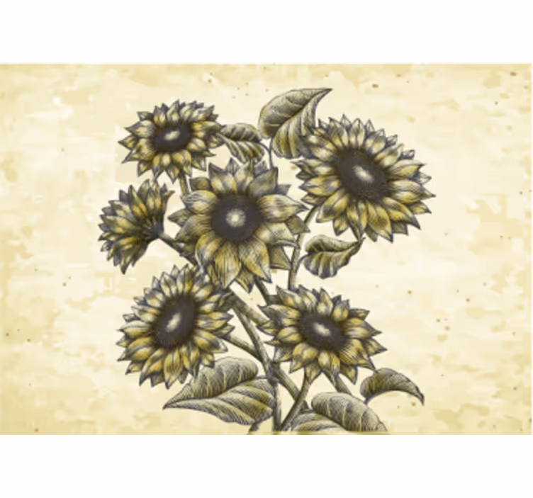 Fotobehang bloemen zonnebloem compositie - TenStickers