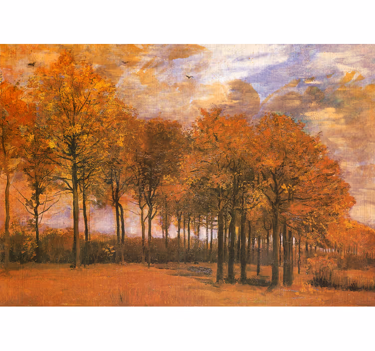 Fotobehang landschap herfstboslandschap - TenStickers