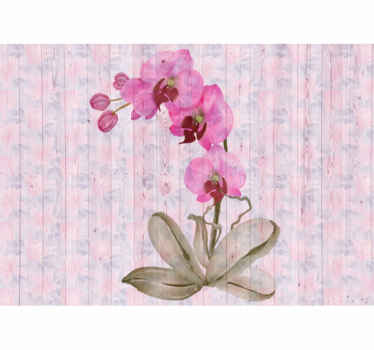 Fotobehang bloemen roze orchideeën bloei - TenStickers