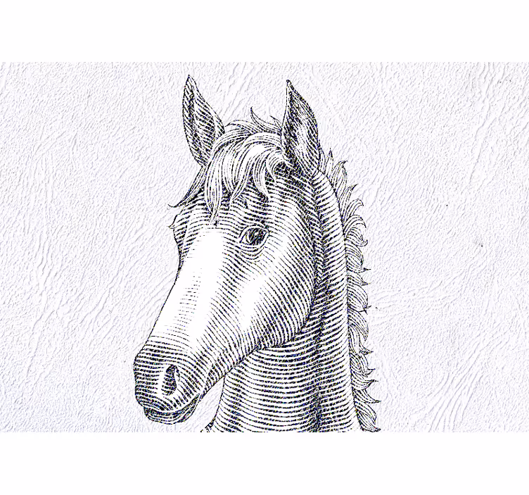 Fotobehang dieren elegante paardenportret - TenStickers