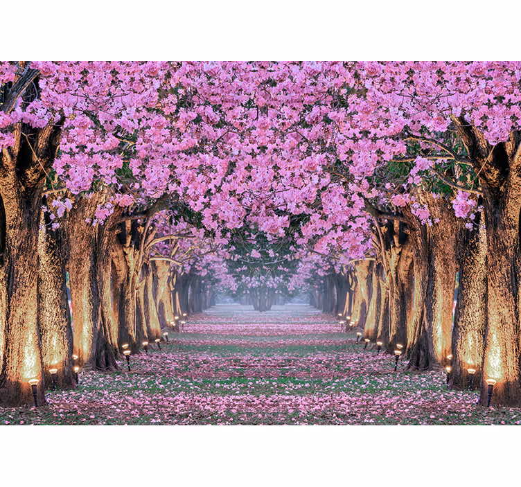 Fotobehang bloemen kersenbloesempad - TenStickers
