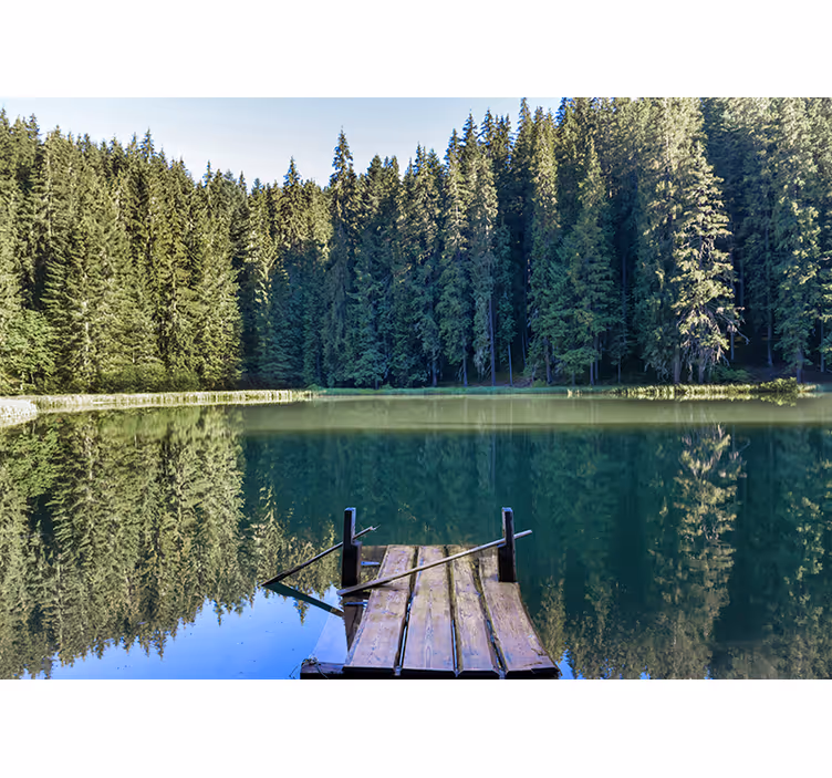 Foto behang natuur serene bosreflectie - TenStickers