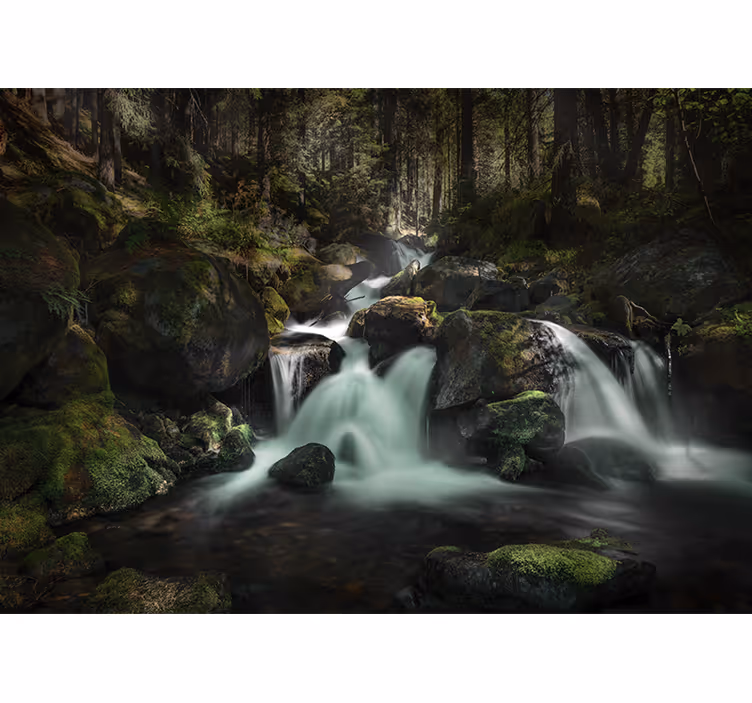 Foto behang waterval rustige bosbeek - TenStickers
