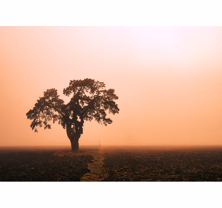 Majestueuze savanneboom fotobehang Afrikaanse stijl - TenStickers