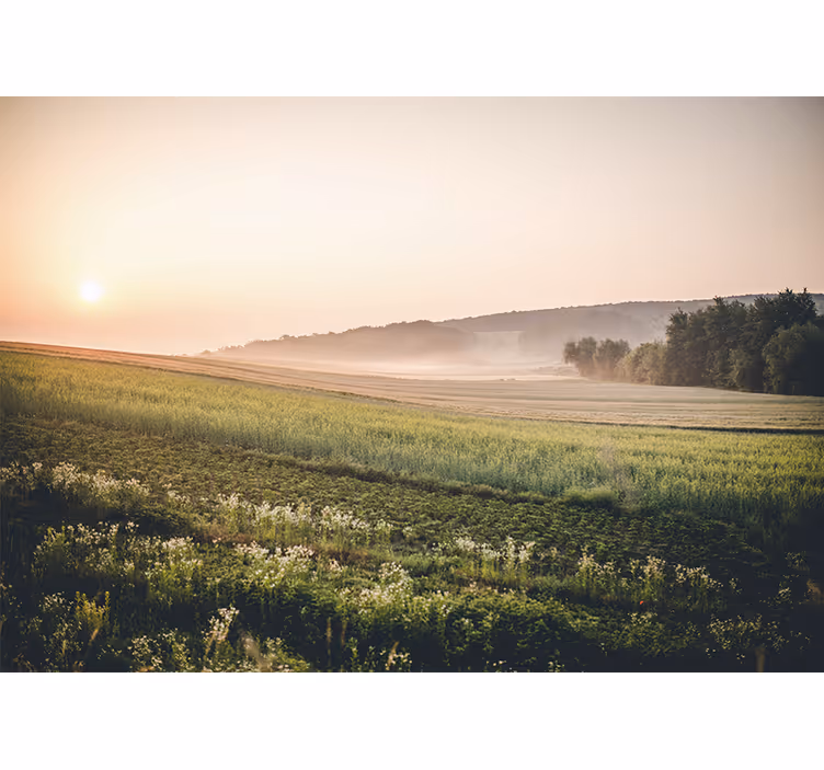 Fotobehang landschap rustige groene weiden - TenStickers