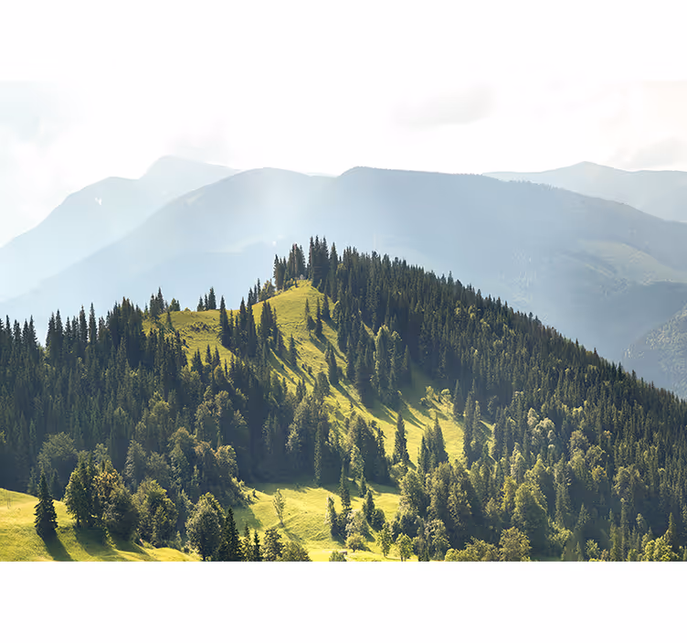 Fotobehang landschap bergbos scene - TenStickers