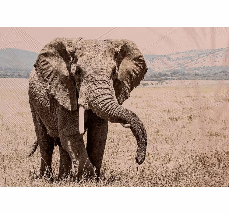 Foto behang diverse dieren regal olifant aura - TenStickers