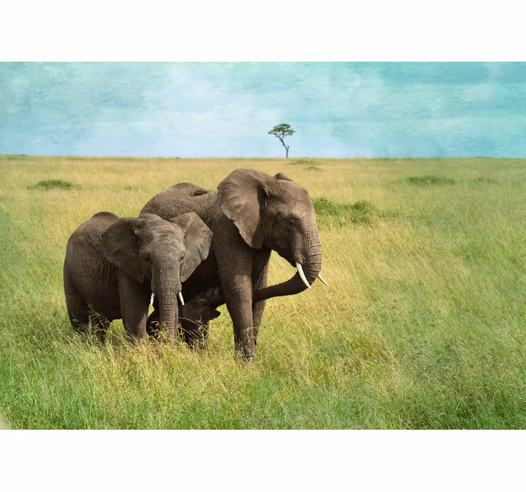 Fotobehang dieren olifanten in grasland - TenStickers