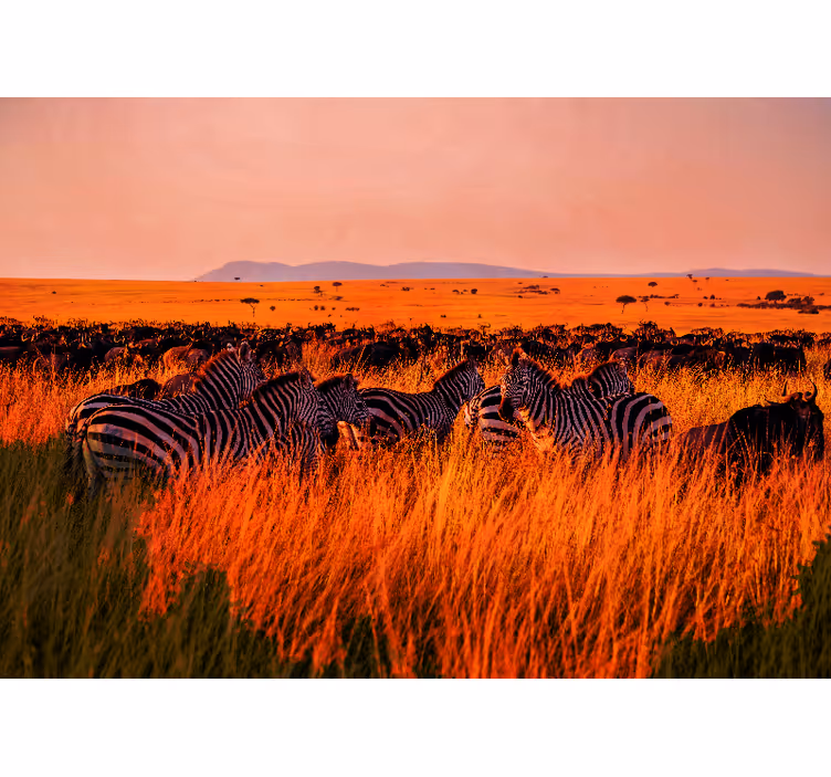 Fotobehang natuur zebras in de serengeti - TenStickers