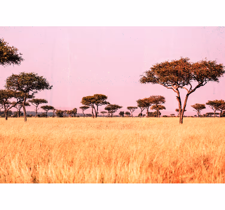 Fotobehang landschap serene savanne landschap - TenStickers