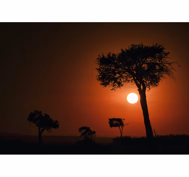 Silhouet zonsondergang scène fotobehang landschap - TenStickers
