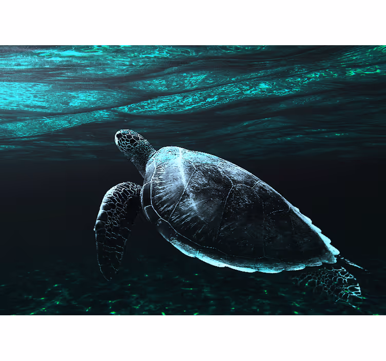 Fotobehang dieren majestueuze zeeschildpad - TenStickers