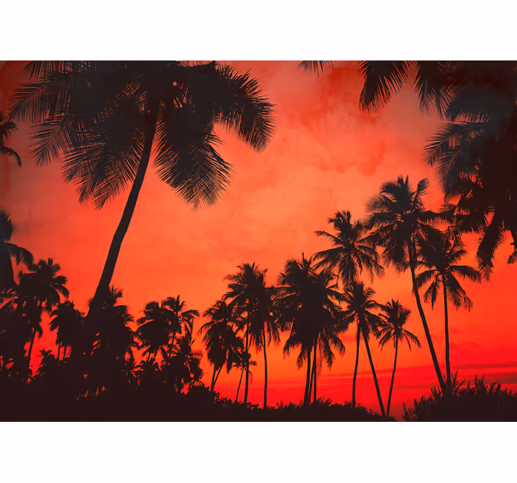 Foto behang natuur silhouet van palmbomen - TenStickers