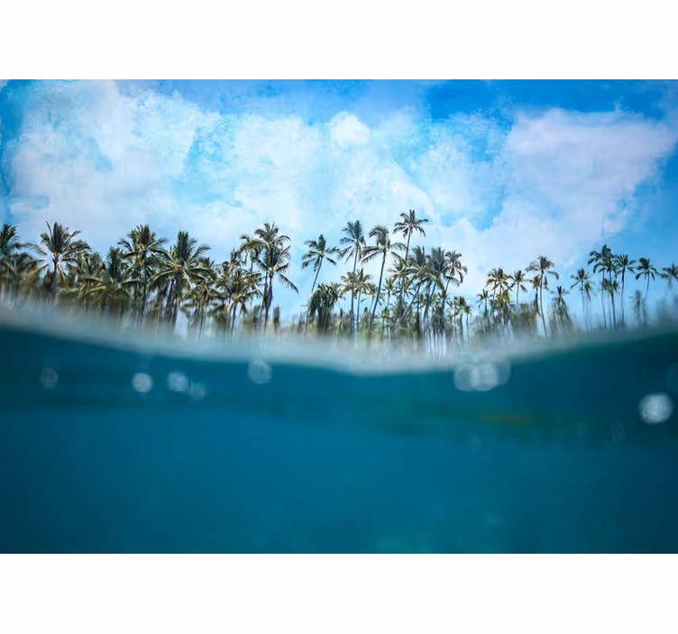 Foto behang natuur palmboom horizon - TenStickers