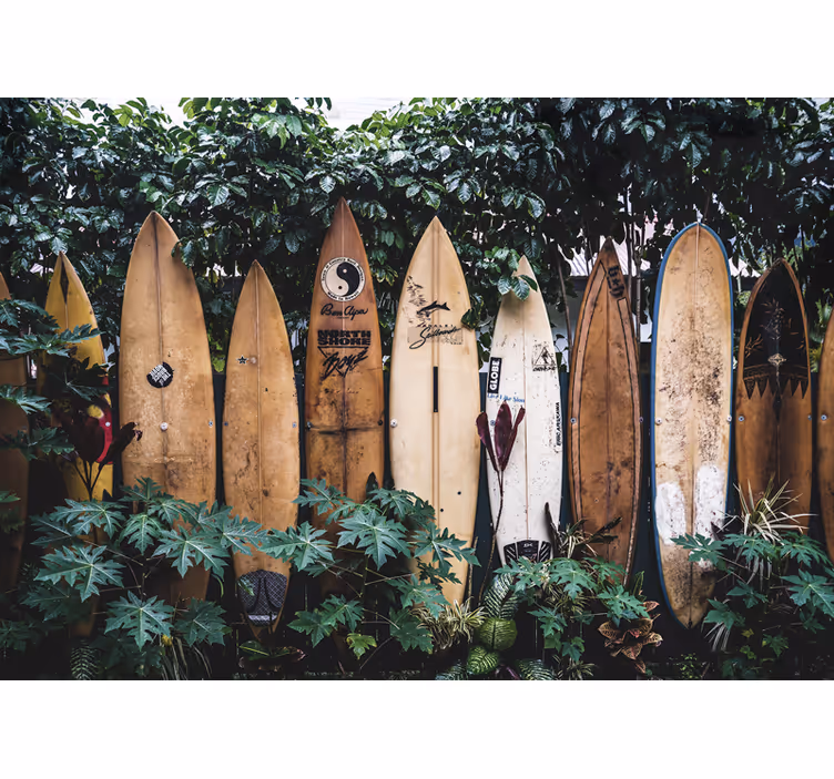 Fotobehang voertuigen surfplanken in etalage - TenStickers