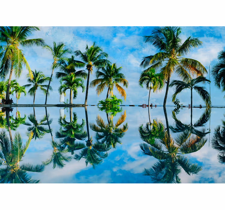 Foto behang natuur weelderige palmreflecties - TenStickers