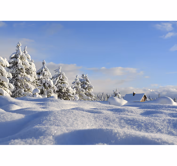 Fotobehang landschap winterse sneeuwscène - TenStickers