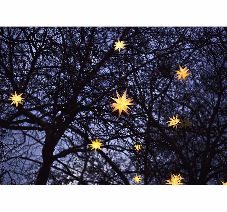 Fotobehang kerst gouden sterrennacht - TenStickers