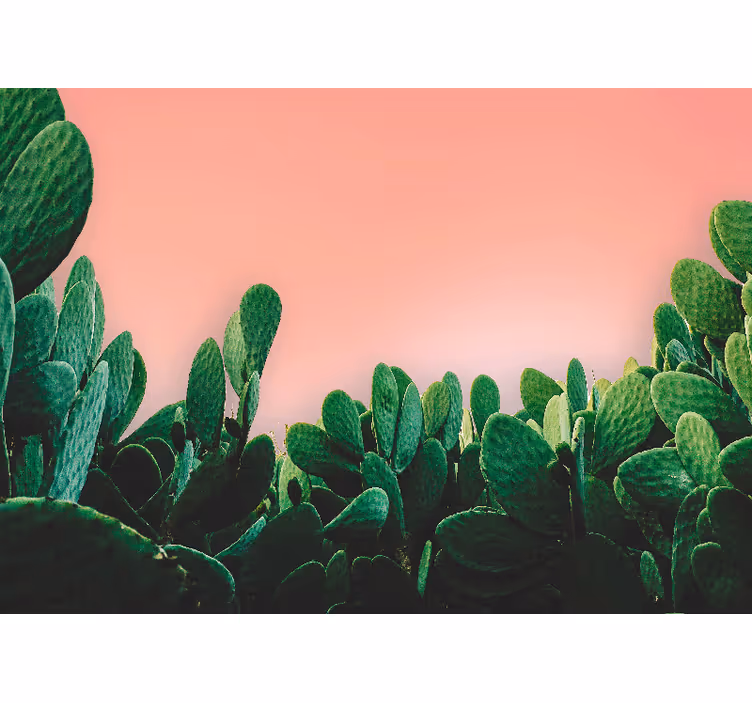 Foto behang natuur cactuss landschap - TenStickers