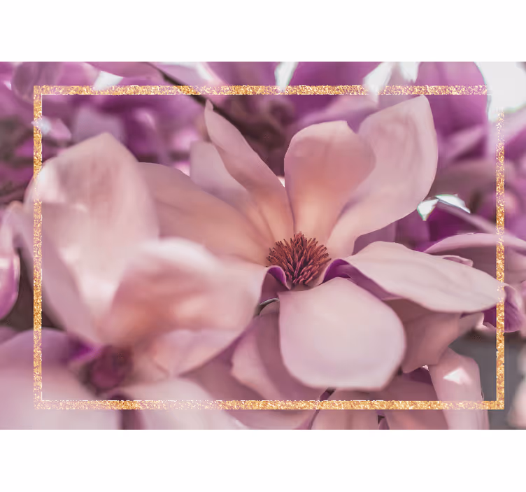 Fotobehang bloemen magnolia bloesem close-up - TenStickers