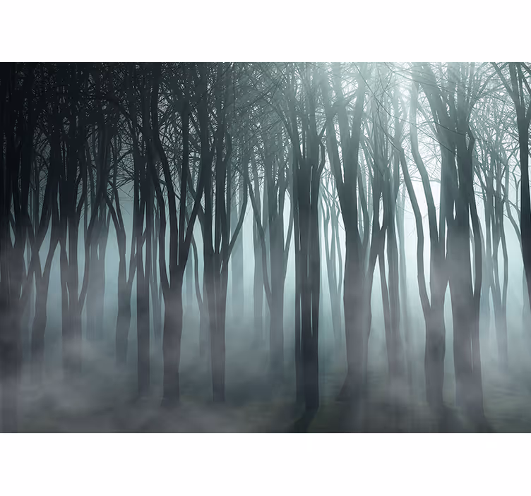 Mistige bomen silhouet foto behang bos - TenStickers