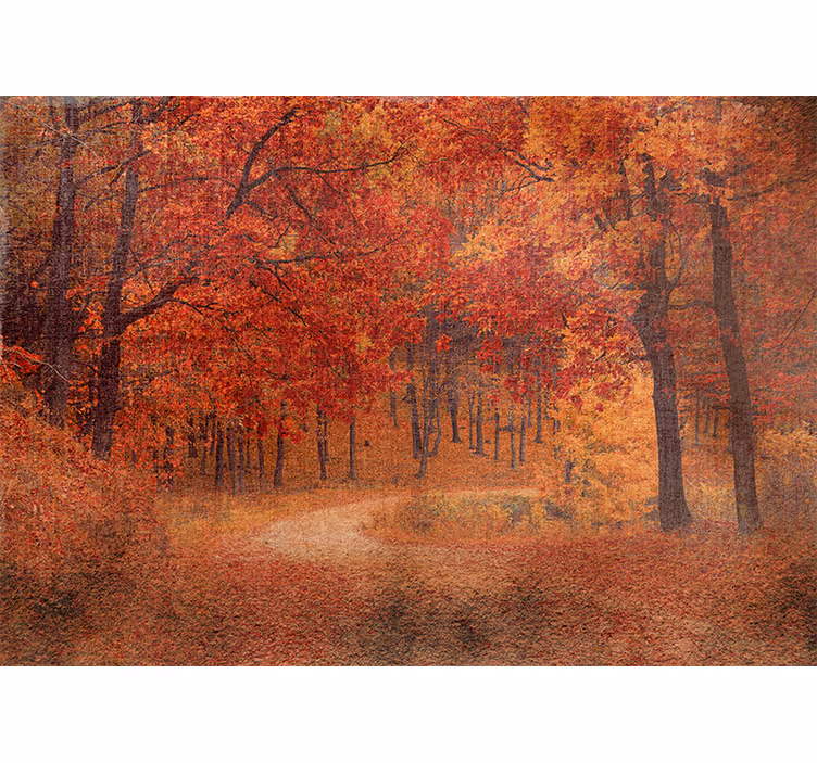 Foto behang natuur rustieke herfstpad - TenStickers